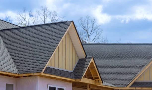 Best Skylight Installation and Repair  in Midway, NC