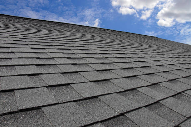 Best Roof Moss and Algae Removal  in Midway, NC